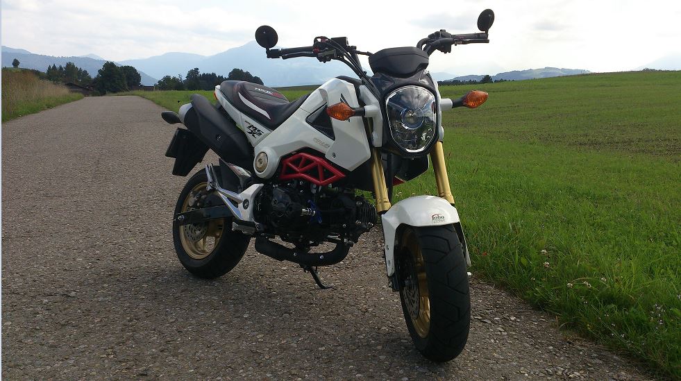 mxs2.jpg